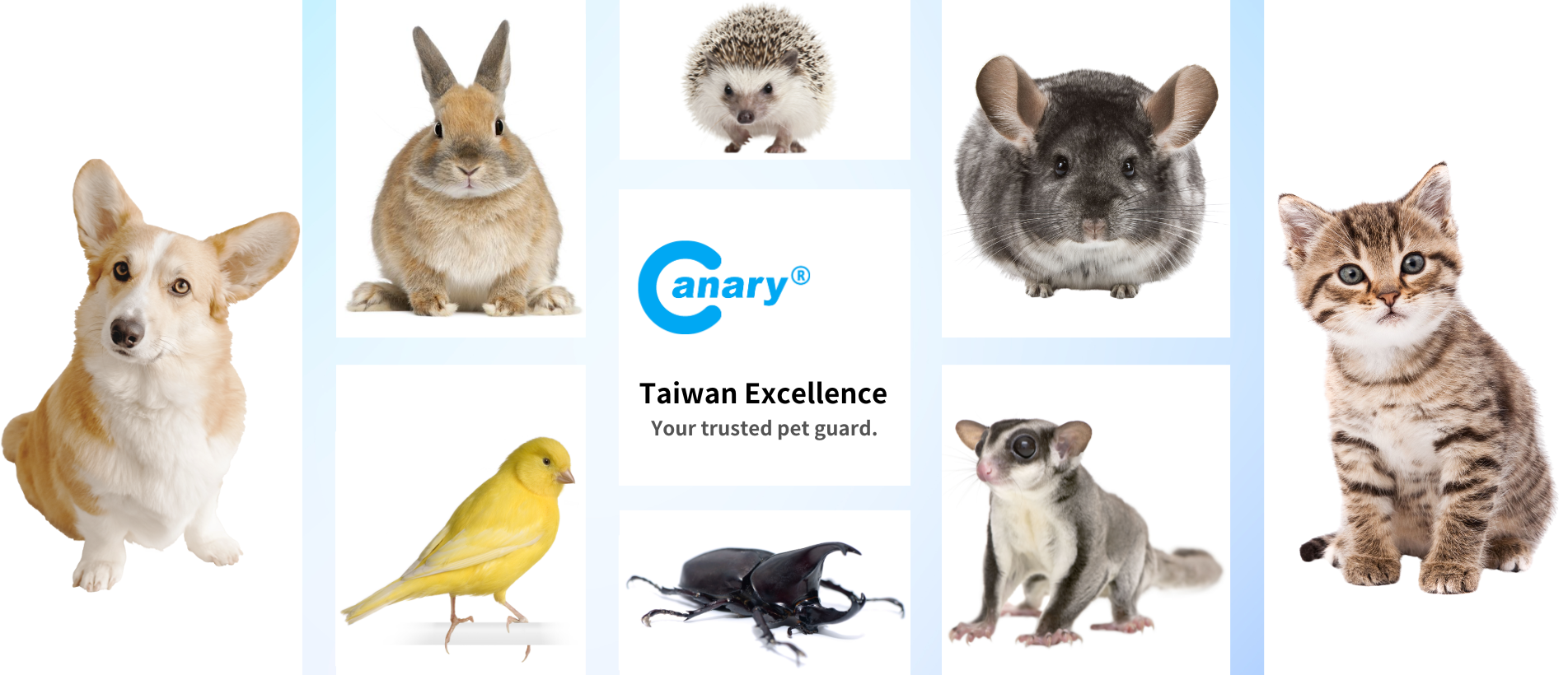 Canary banner _1903 x 820 像素_.png