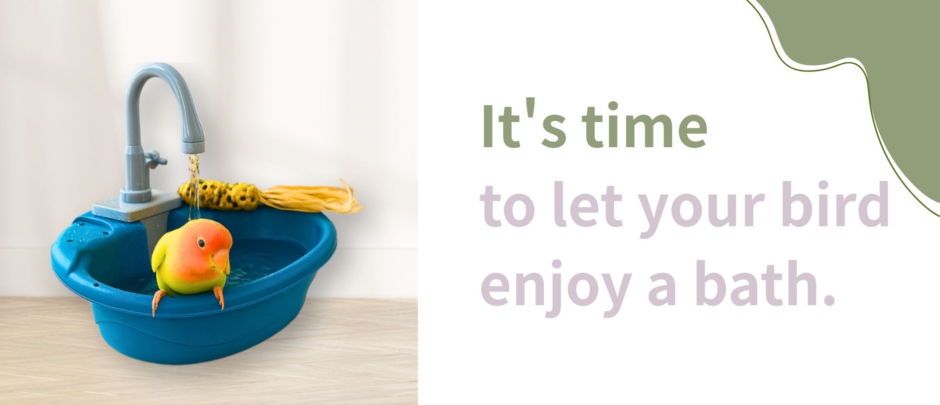 Bird bathing_ENG.jpg