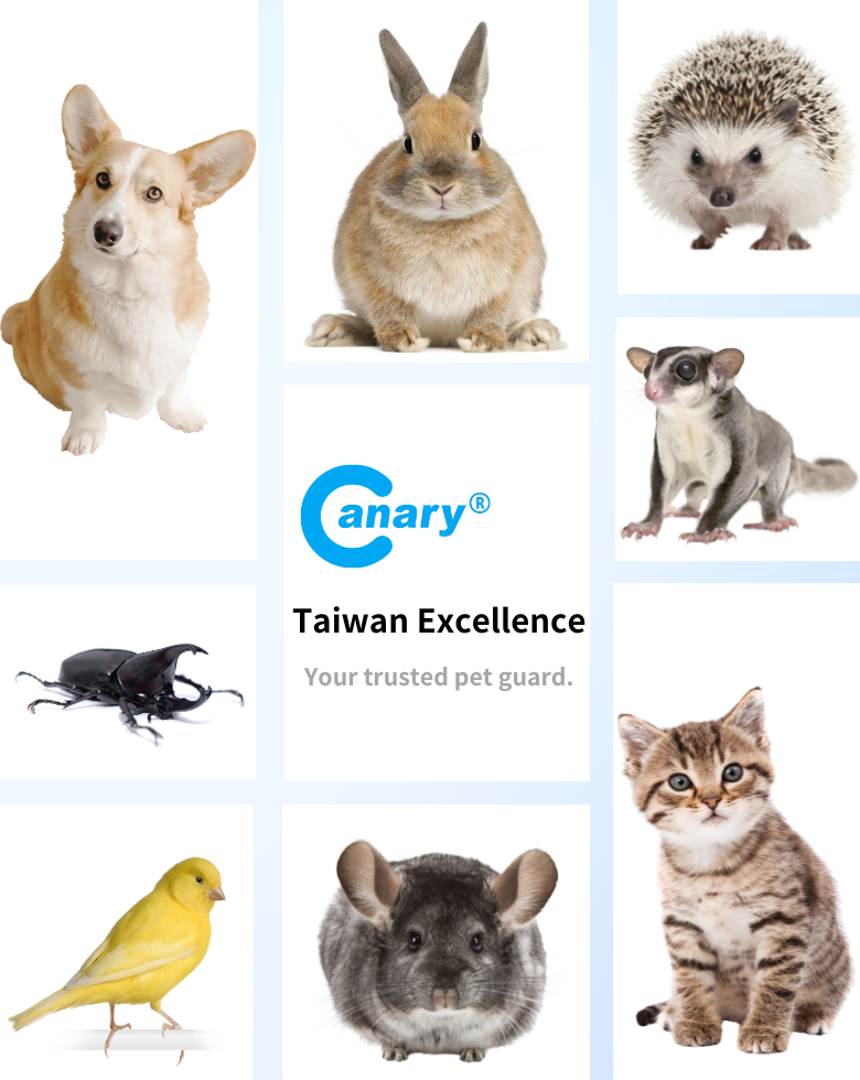 Canary banner_mobile _780 x 980 像素_.png