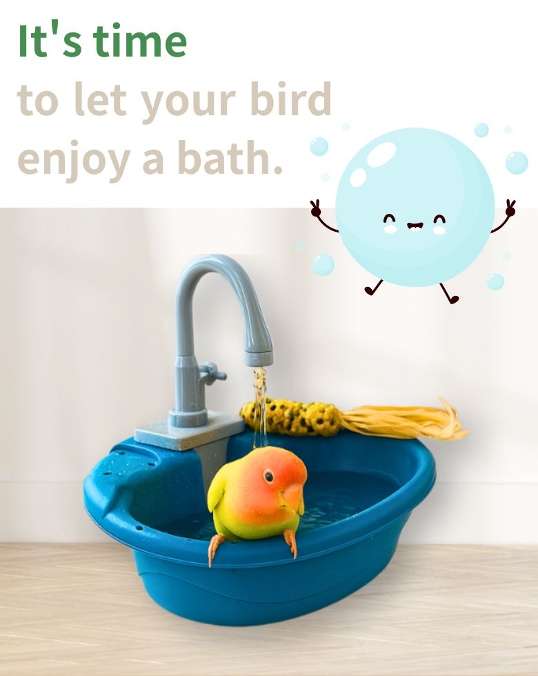 bird bathing_m_ENG.jpg