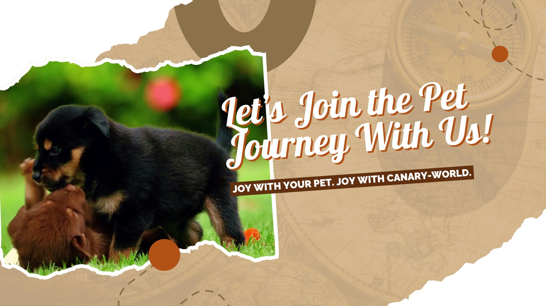 Canary and PetBest Company Video