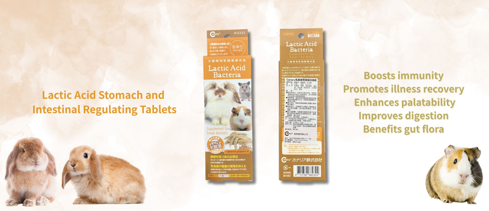 Digestive Enzyme Tablets