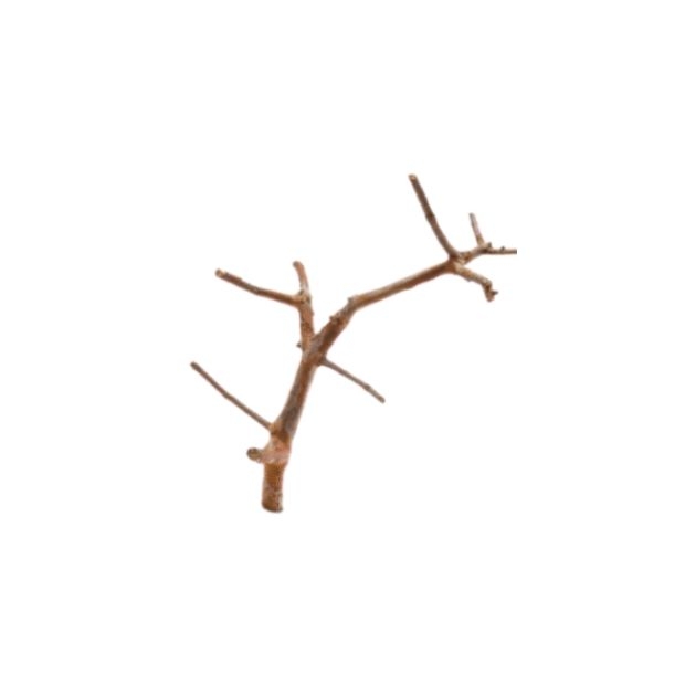 Petbest sugar glinder_rep_ware.jpg