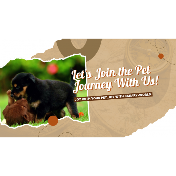 Canary company video _1_.png